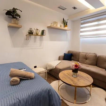 Bonsai Novi Pazar