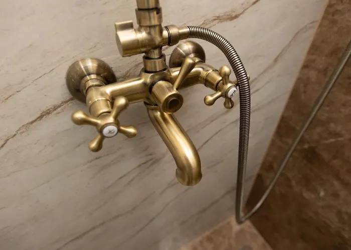 Bonsai * نوفي بازار